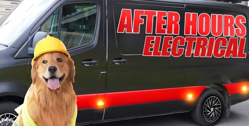 After Hours Electrical dog with van