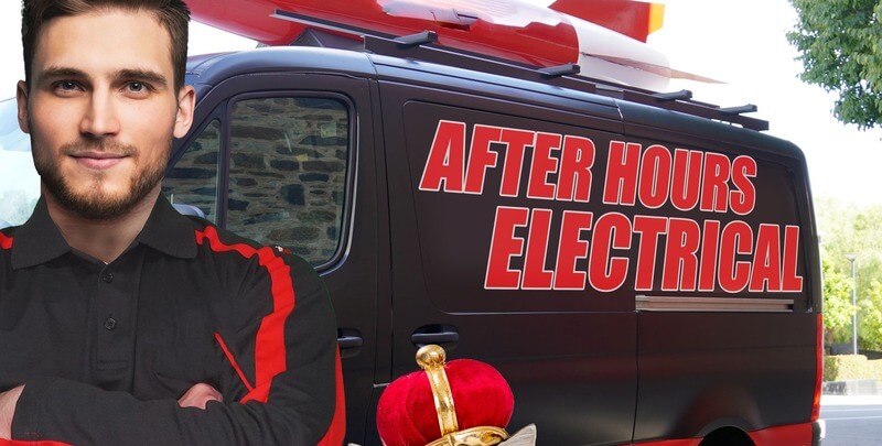 After Hours Electrical with royal cat